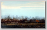 dscn1599.jpg