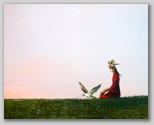 shamanwithfalcon80x100.jpg