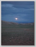 323.jpg