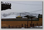 img_1247.jpg